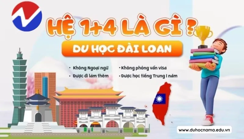 Dự bị đại học là gì? Sự khác biệt dự bị đại học và đại học chính quy